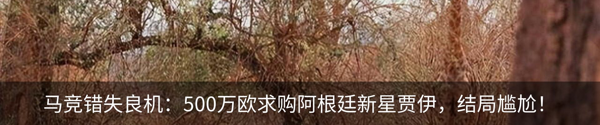 新闻中心